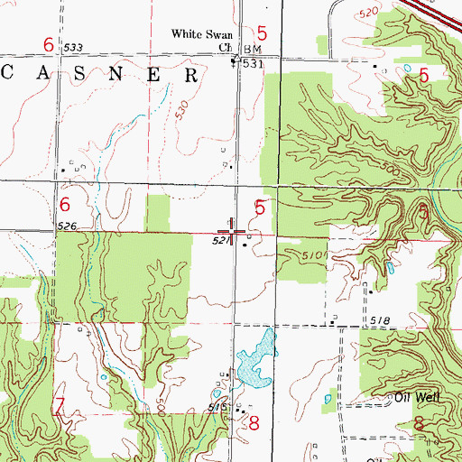 Topographic Map of White Swan School (historical), IL