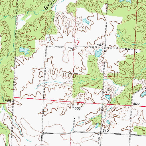 Topographic Map of Pleasant Grove School (historical), IL