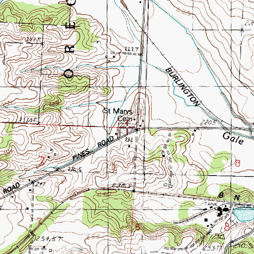 Topographic Map of Saint Mary's Cemetery, IL