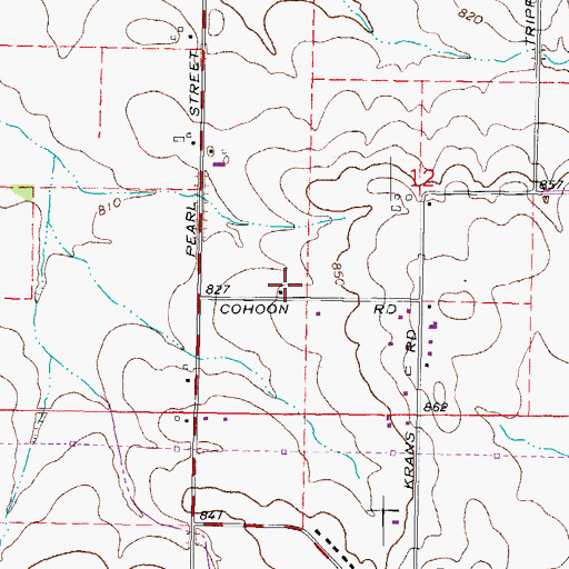 Topographic Map of Cohoon School (historical), IL