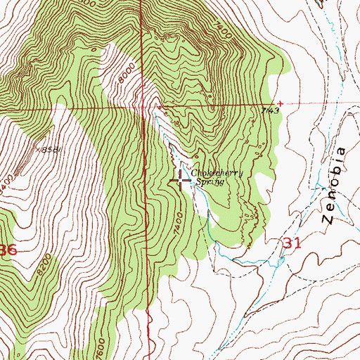 Topographic Map of Chokecherry Spring, CO