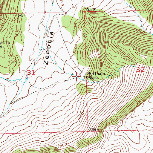 Topographic Map of Buffham Place, CO