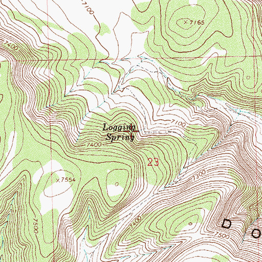 Topographic Map of Logging Spring, CO