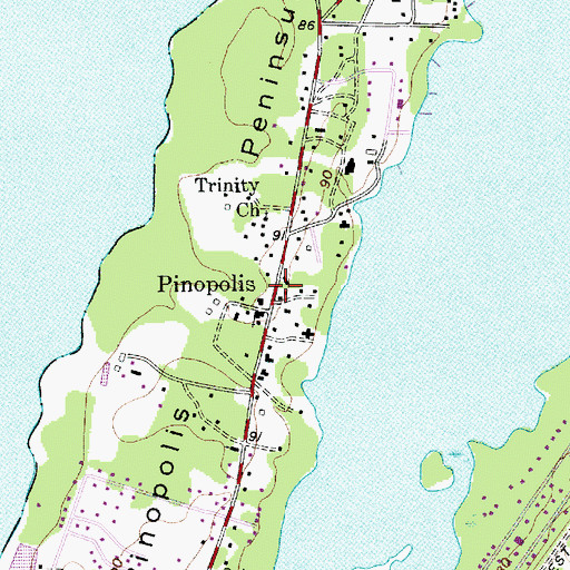 Topographic Map of Pinopolis, SC