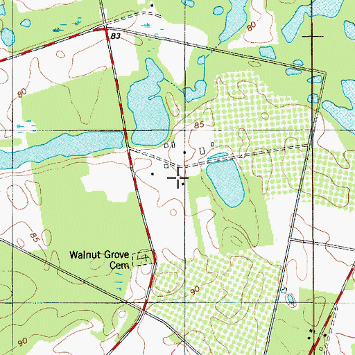 Topographic Map of Walnut Grove Plantation, SC