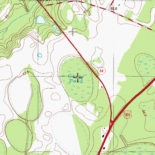Topographic Map of Chitty Pond, SC