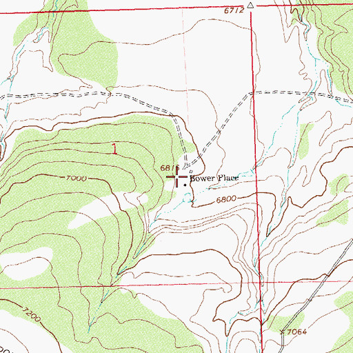 Topographic Map of Bower Place, CO