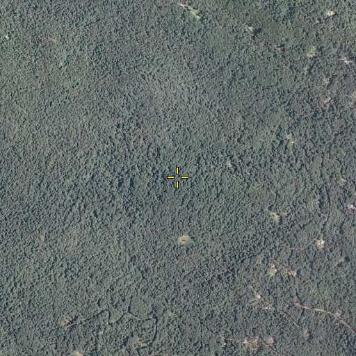 Aerial/Satellite Image of Haney Post Office (historical), VA