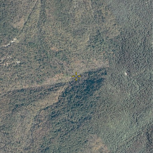 Aerial/Satellite Image of Raven Cliff Branch, VA