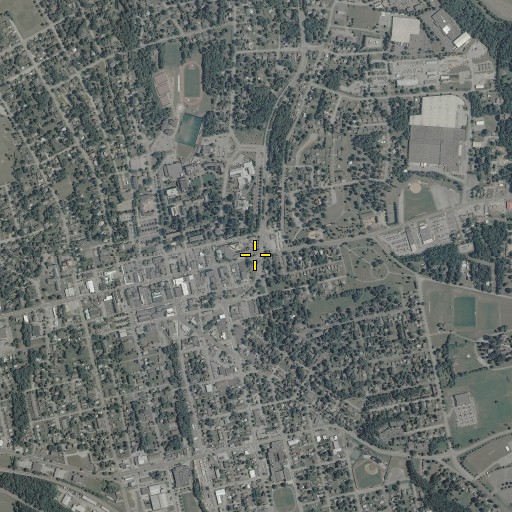 Aerial/Satellite Image of Williams Branch, VA