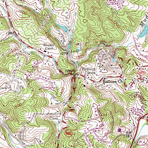 Topographic Map of Cave Spring Branch, VA