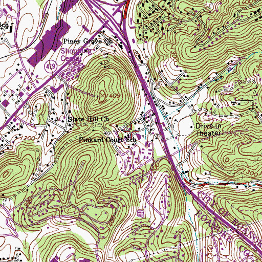Topographic Map of Pinkard Court, VA