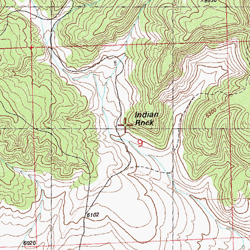 Topographic Map of Indian Rock, CO