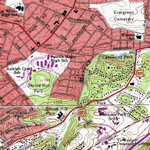 Topographic Map of Lemon Dell, VA