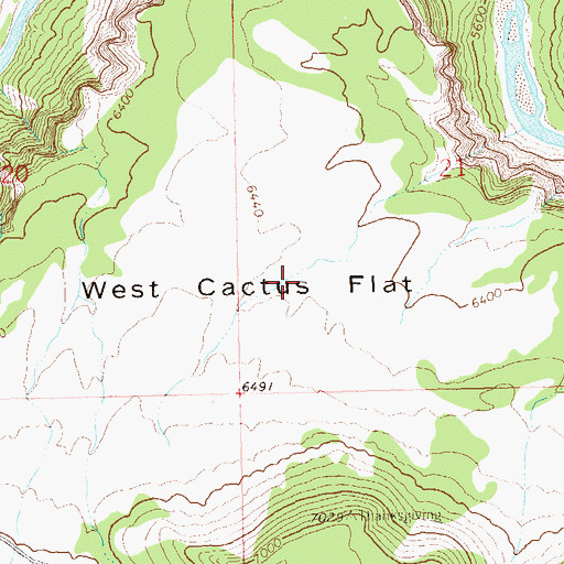 Topographic Map of West Cactus Flat, CO