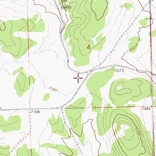 Topographic Map of Bear Valley, CO