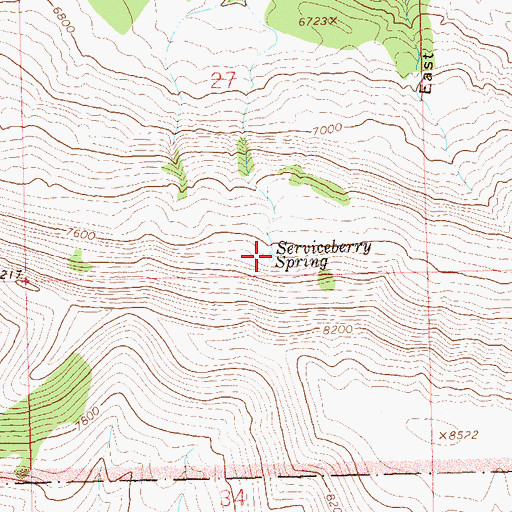 Topographic Map of Serviceberry Spring, CO