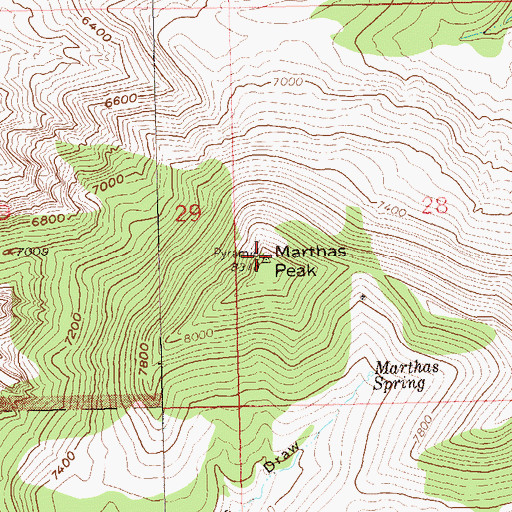 Topographic Map of Marthas Peak, CO