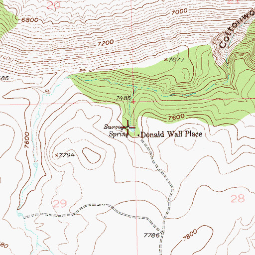 Topographic Map of Surveyor Spring, CO