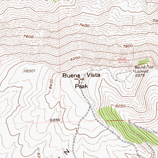 Topographic Map of Buena Vista Peak, CO