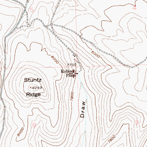 Topographic Map of Robinson Place, CO