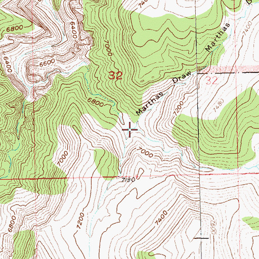 Topographic Map of Marthas Draw, CO