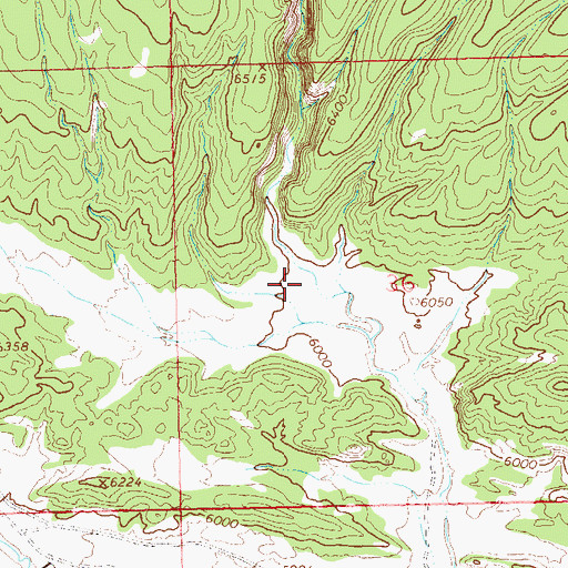 Topographic Map of Box Canyon, CO