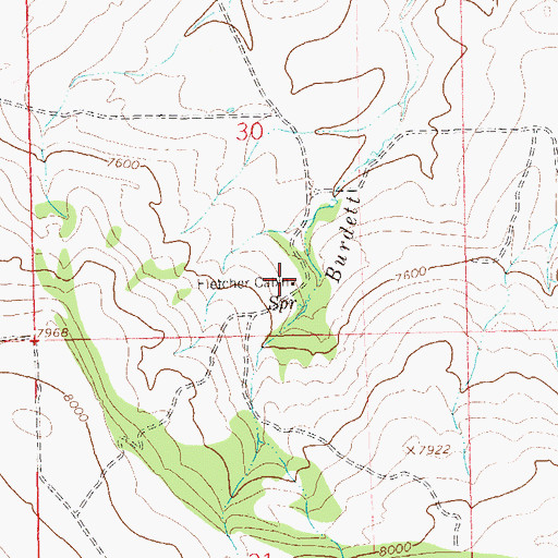 Topographic Map of Fletcher Cabin, CO