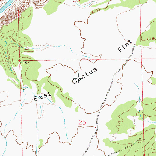 Topographic Map of East Cactus Flat, CO
