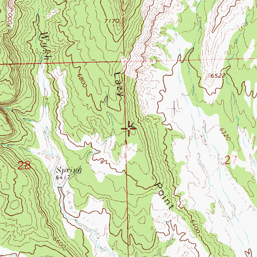 Topographic Map of Lazy Y Point, CO
