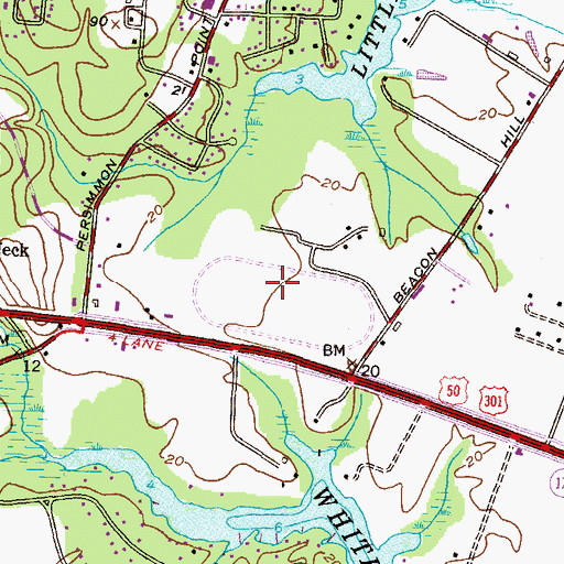 Topographic Map of Revell Downs, MD