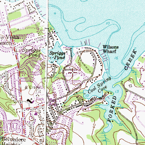 Topographic Map of Longview, MD