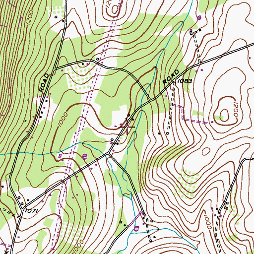 Topographic Map of Buhrman, MD