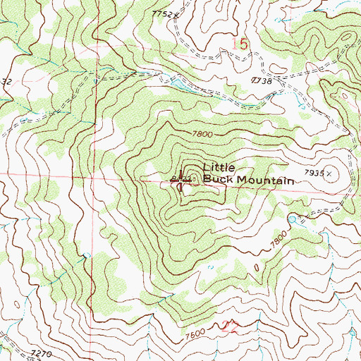 Topographic Map of Little Buck Mountain, CO