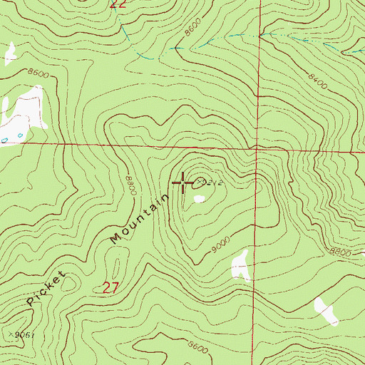 Topographic Map of Picket Mountain, CO