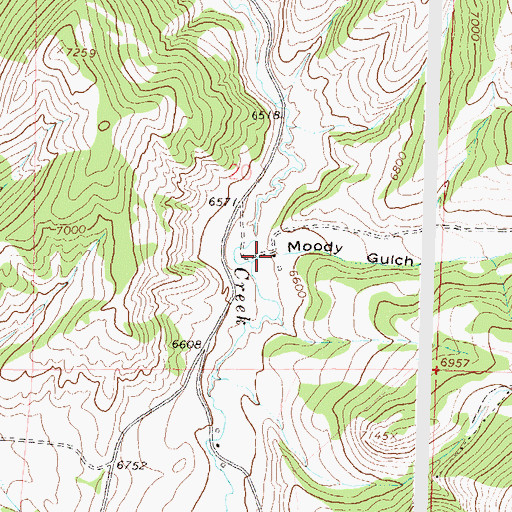 Topographic Map of Moody Gulch, CO