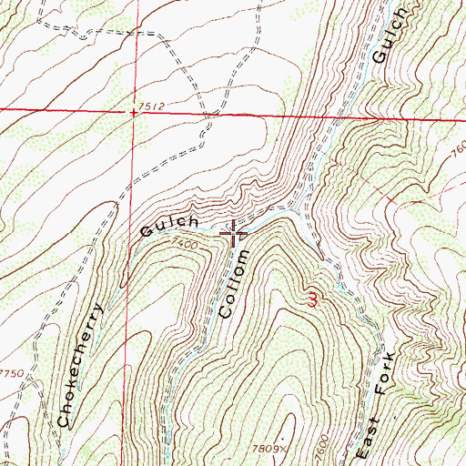 Topographic Map of Chokecherry Gulch, CO