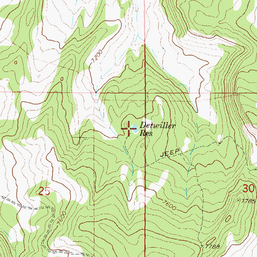 Topographic Map of Detwiller Reservoir, CO