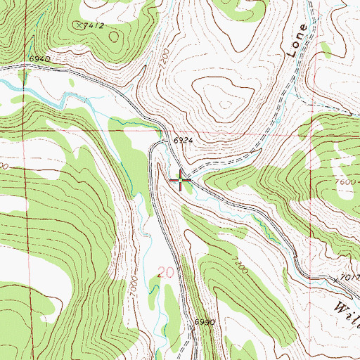 Topographic Map of Lone Gulch, CO