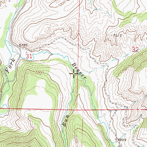 Topographic Map of Indian Run, CO