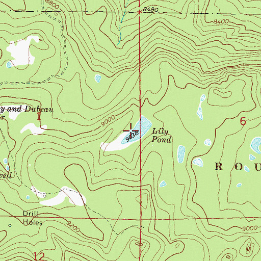 Topographic Map of Lily Pond, CO