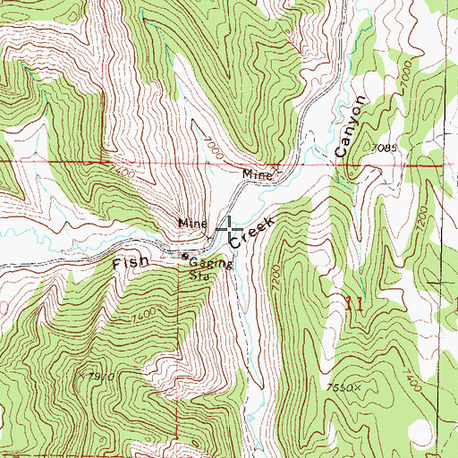 Topographic Map of Coyote Creek, CO