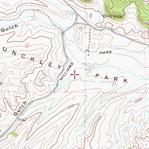 Topographic Map of Williams Park Ditch, CO