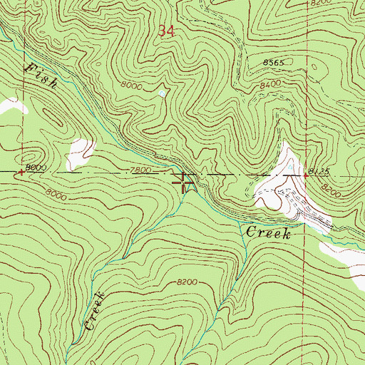 Topographic Map of Austrian Creek, CO