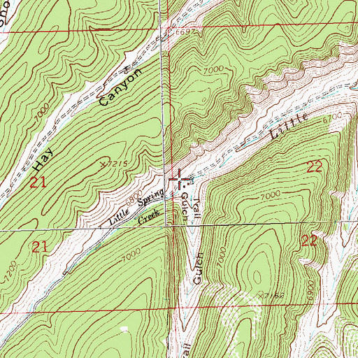 Topographic Map of Trail Gulch, CO