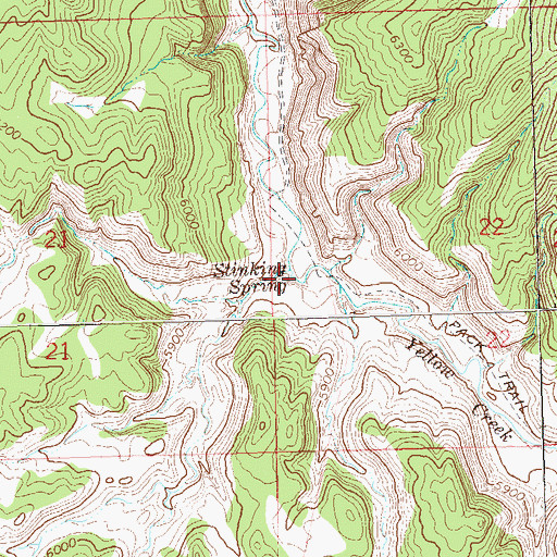 Topographic Map of Stinking Spring, CO