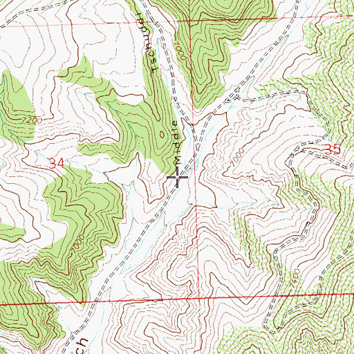 Topographic Map of Middle Tschuddi Gulch, CO