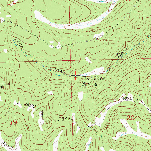 Topographic Map of East Fork Spring, CO