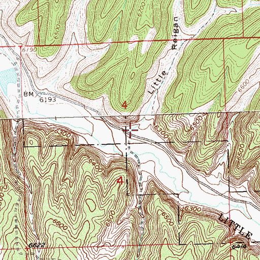 Topographic Map of Little Reigan Gulch, CO