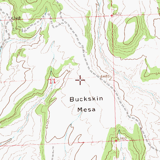 Topographic Map of Buckskin Mesa, CO